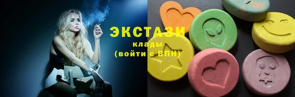 стаф Богданович