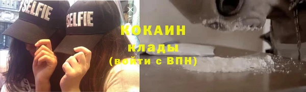 стаф Богданович