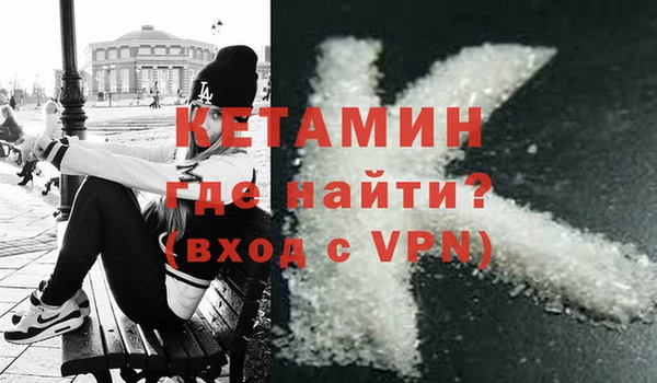 стаф Богданович