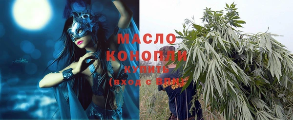 стаф Богданович