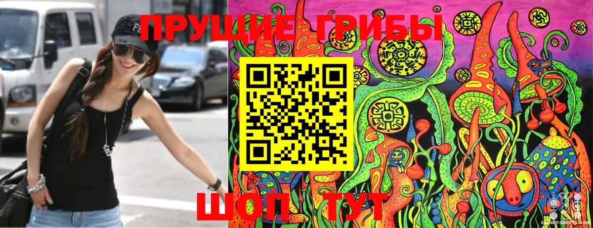 Псилоцибиновые грибы MAGIC MUSHROOMS  Галлюциногенные грибы GOLDEN TEACHER  Вход с VPN  наркотики  Верхняя Пышма 